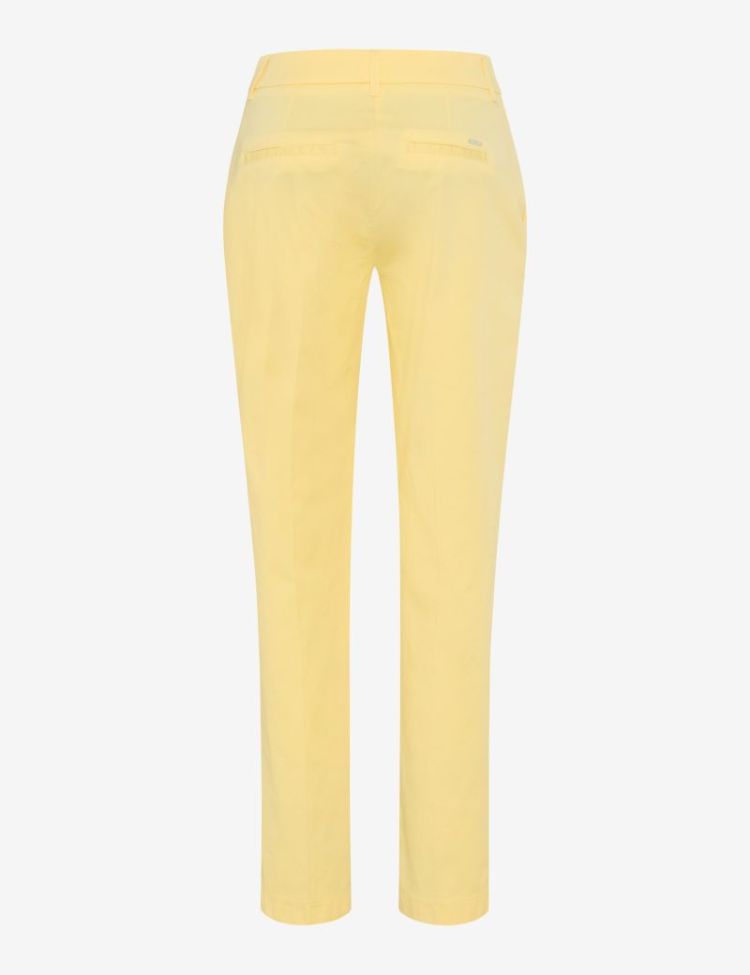 MARON S 67 BUTTERCUP
