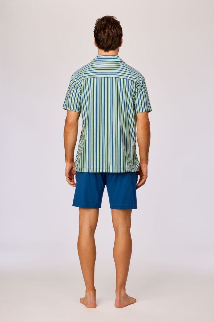  908 GROEN-BLAUW