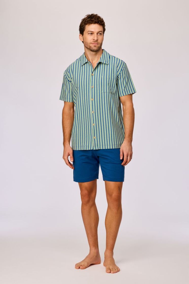 908 GROEN-BLAUW